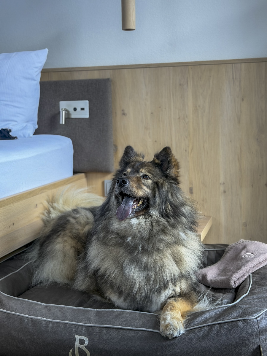 Cocotravel Oesterreich Grossarl Bergzeit Zimmer 14 Cocotravel Oesterreich Grossarl Bergzeit Zimmer 14